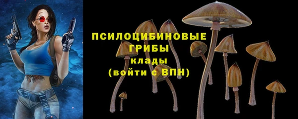 скорость Алзамай