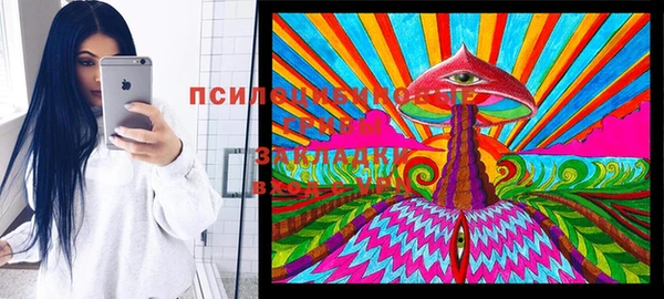 скорость Алзамай