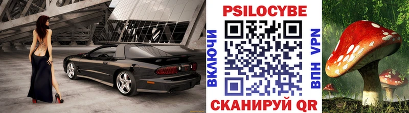 Псилоцибиновые грибы Psilocybine cubensis  наркошоп  Коряжма 